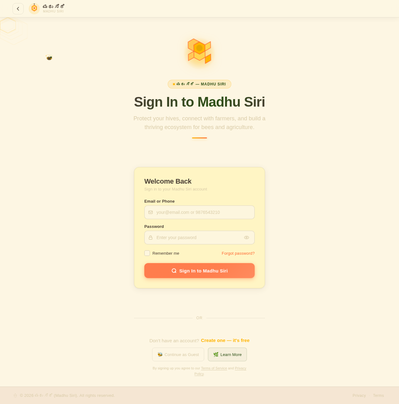 Login design preview