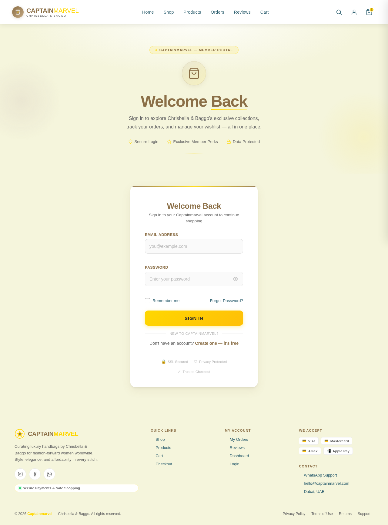 Login design preview