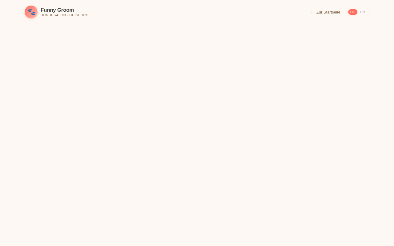 Login design preview