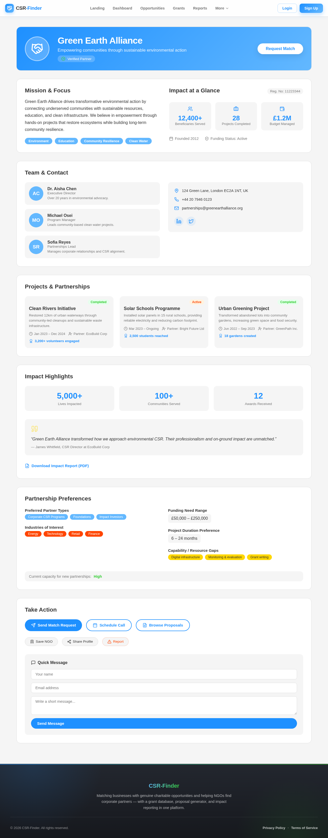 NGO Profile design preview