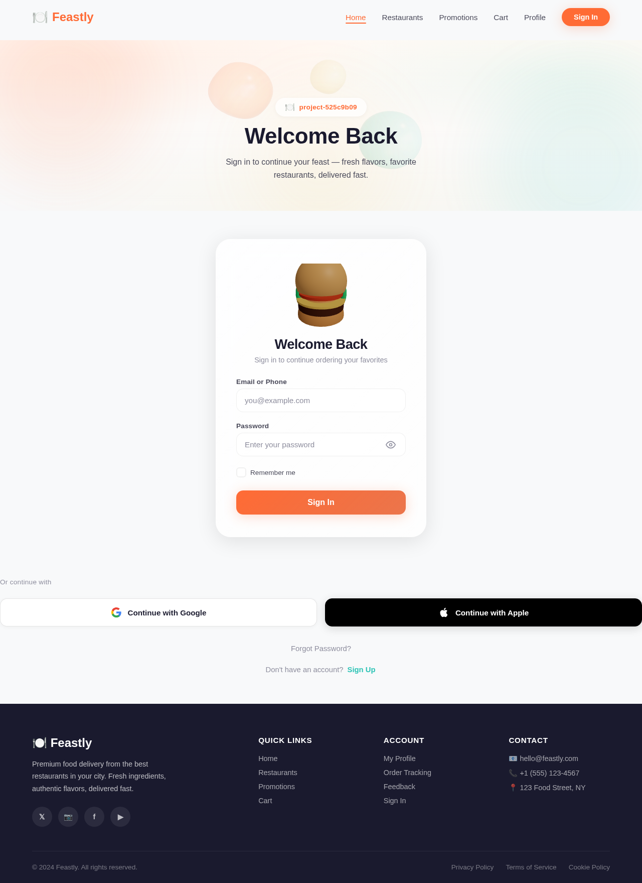 Login design preview