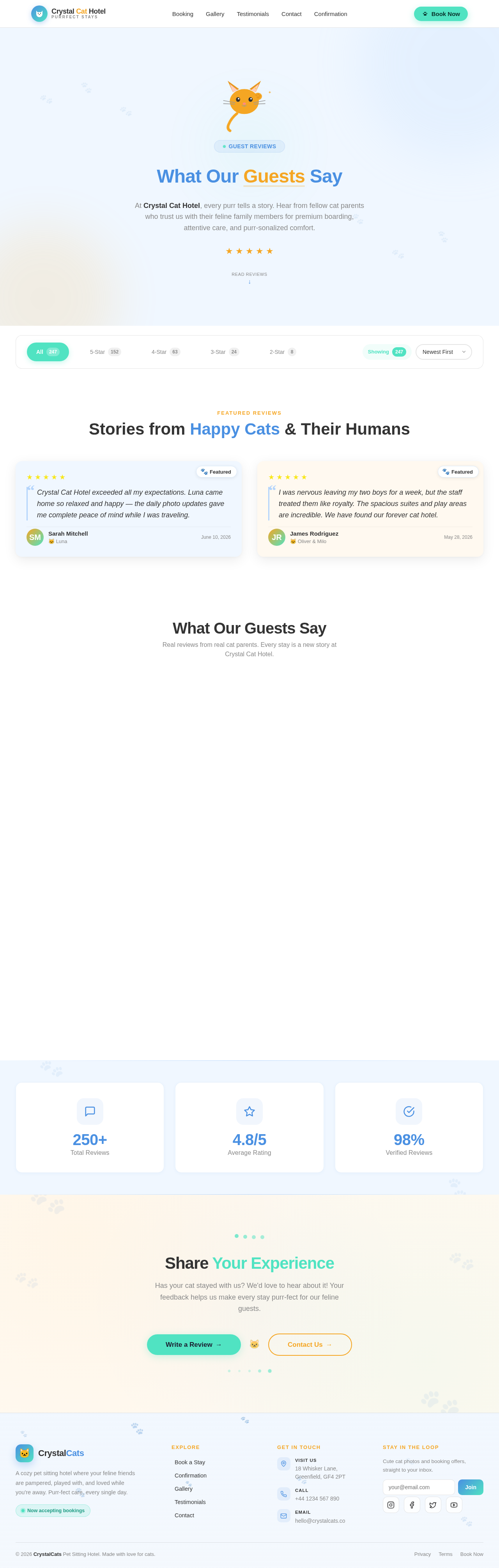 Testimonials design preview