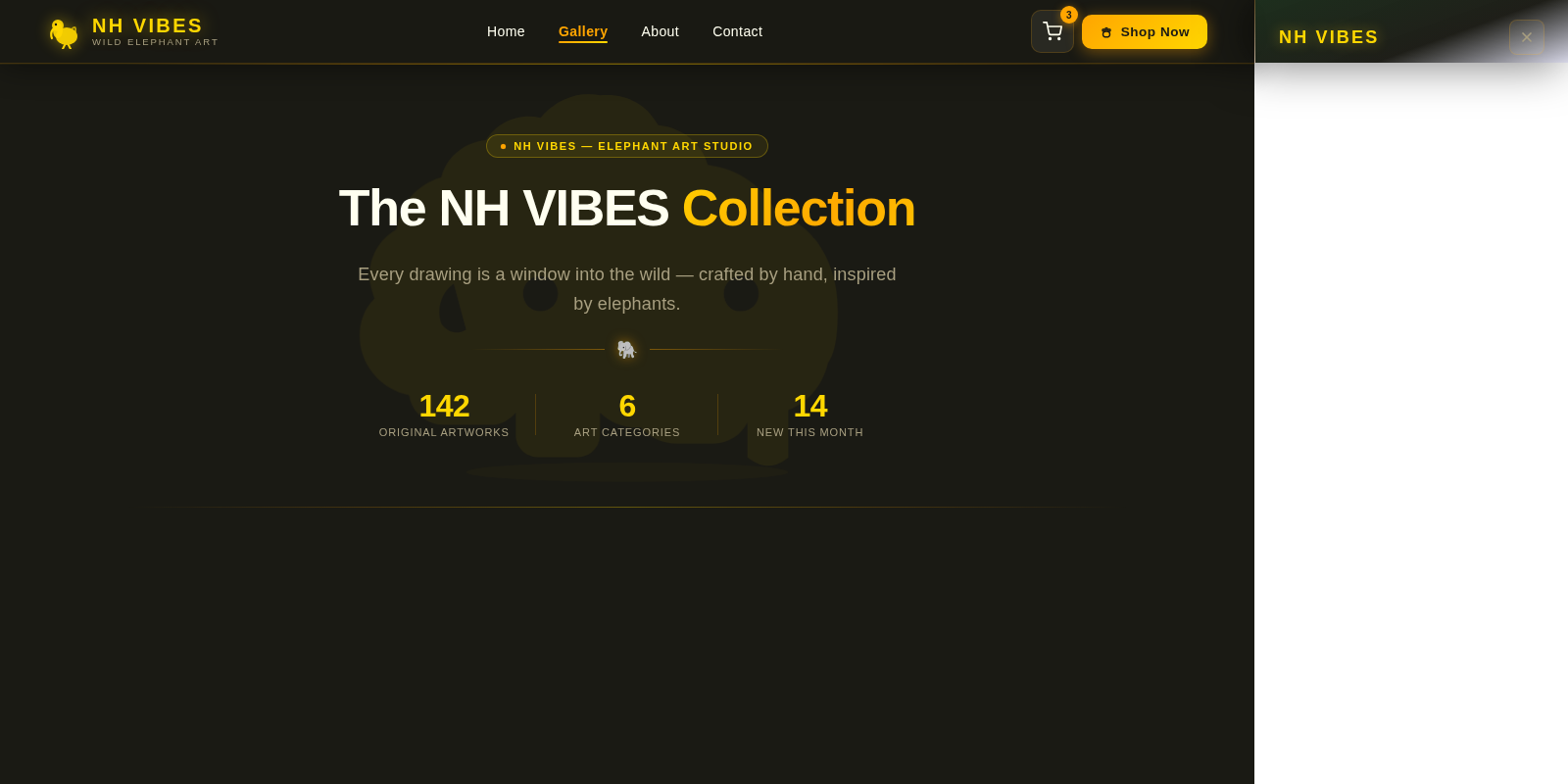 Gallery design preview