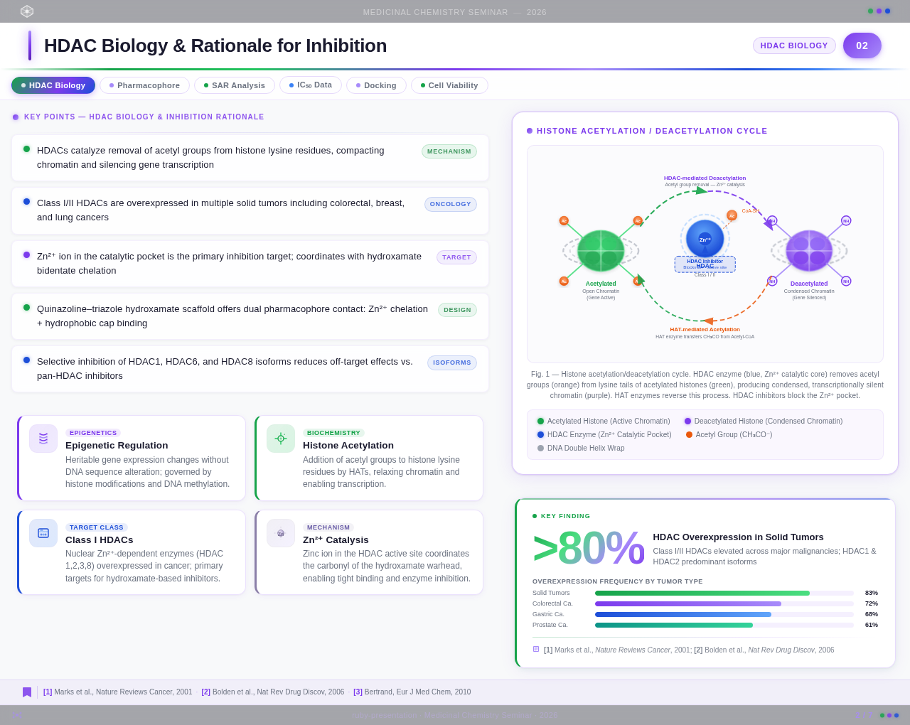 Content Slide design preview