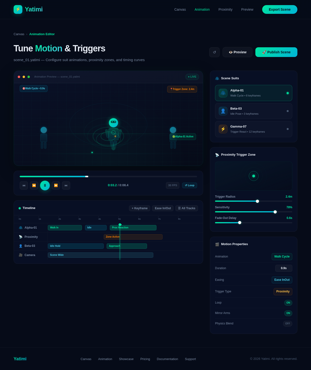 Animation design preview