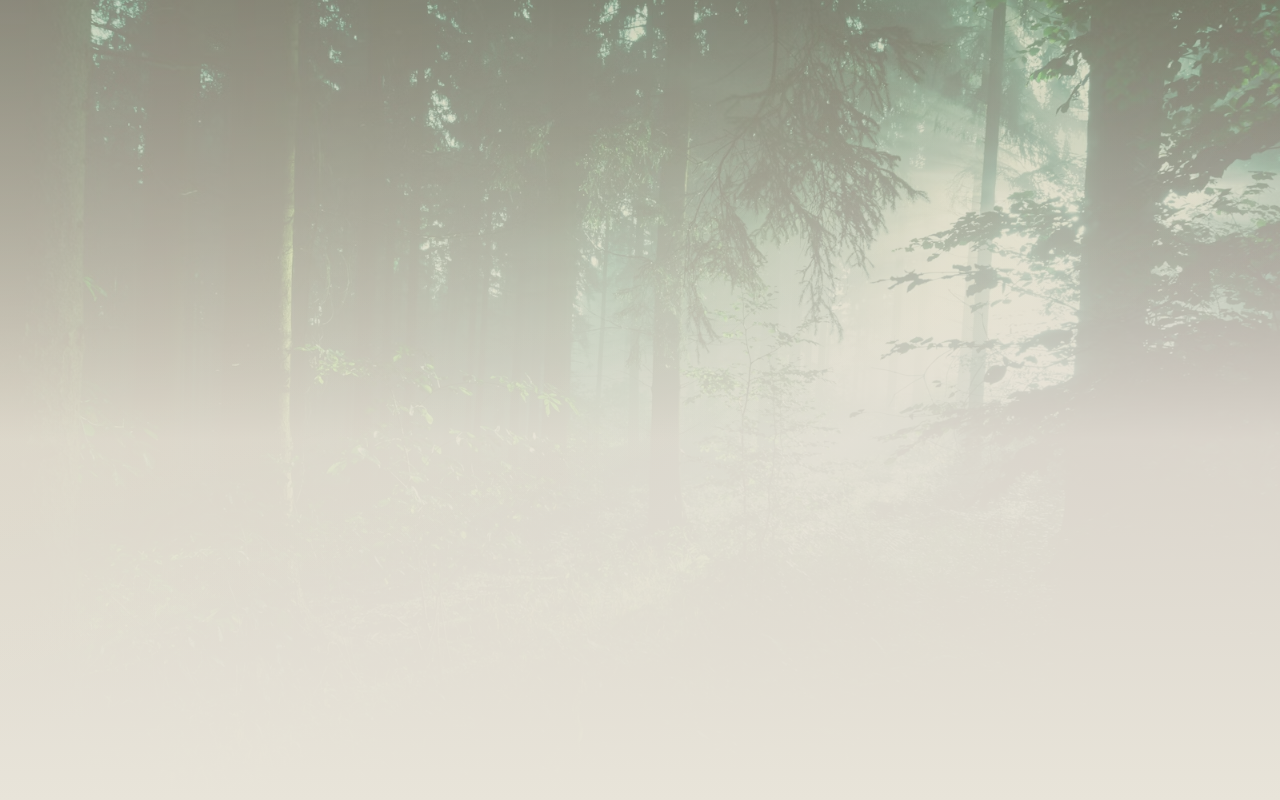 Checkout design preview